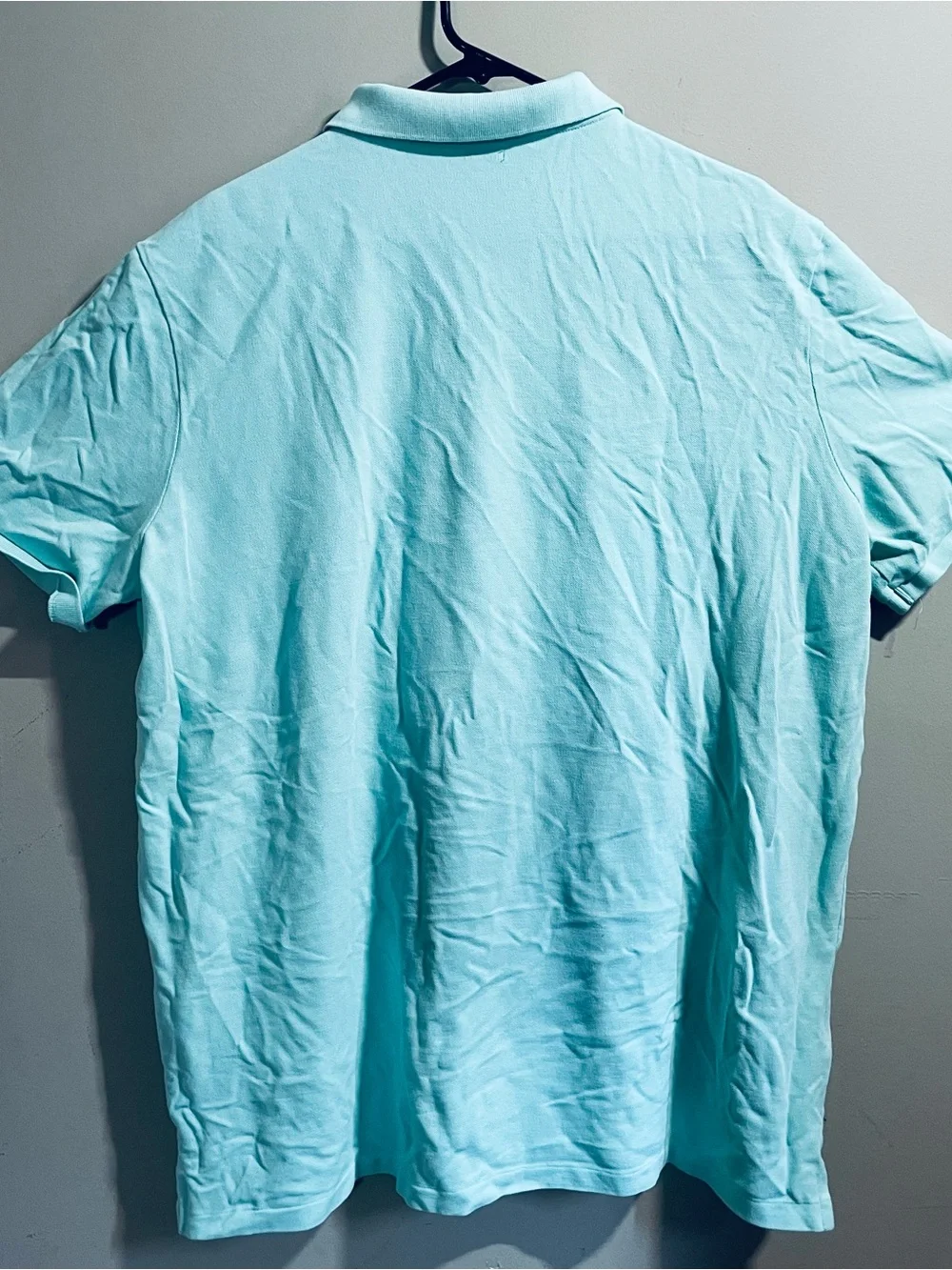 Polo by Ralph Lauren Men's Classic Fit Mint Green Polo Shirt
